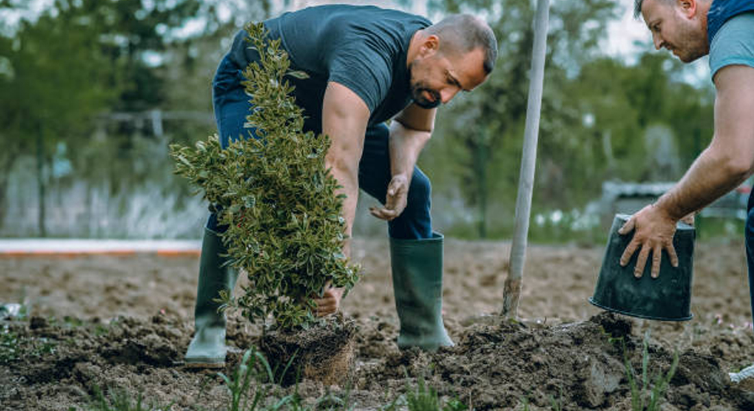 insurance Wilbraham MA